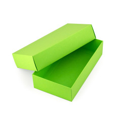 Pastel Green Two Piece Cardboard Gift Box