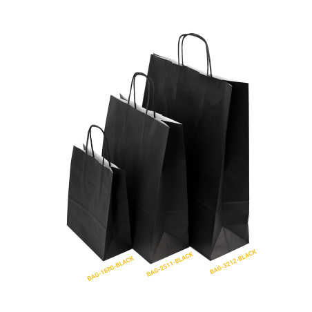 Black Paper Bag with Twist Paper Handles