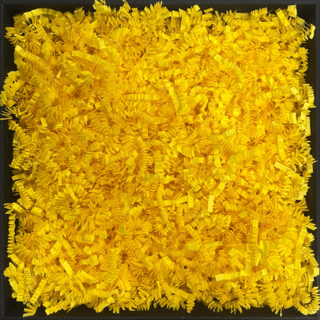 Standžios geltonos popieriaus drožlės - 4 mm, 1 kg