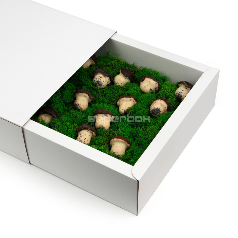 White Large Sleeve Gift Box from Corrugated Board White Large Sleeve Gift Box from Corrugated Board