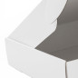 Large White Gift Box with Matte laminate