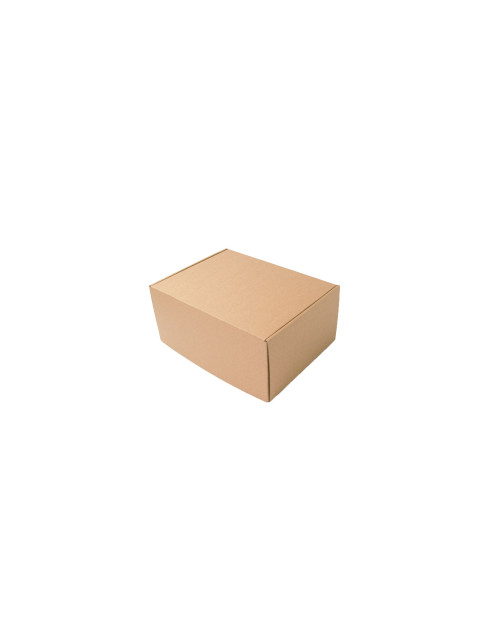 Gofro kartono siuntimo dėžutė