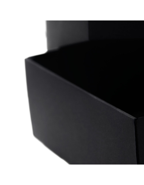 Multipurpose Black Box