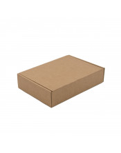 Brown Rectangular Shipping Box of 5 cm Height Suitable for Post Terminals