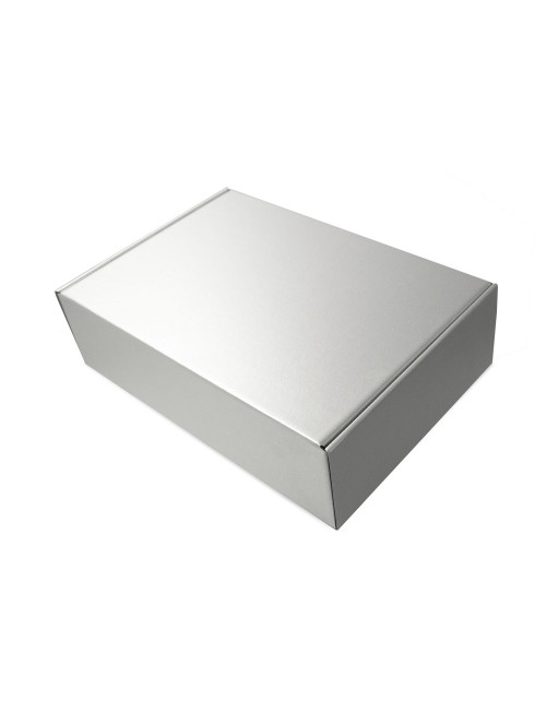 Metalizuoto sidabrinio atspalvio A4 formato dėžutė