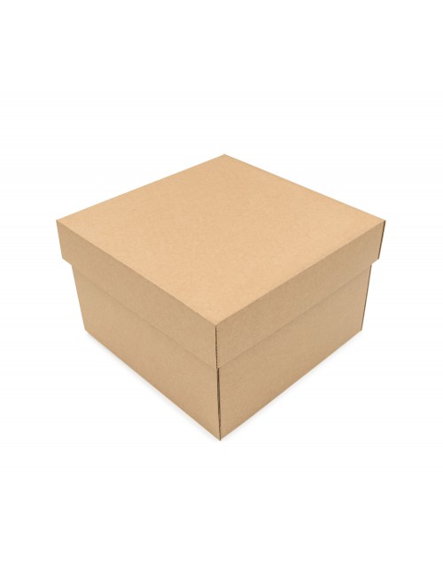 Kvadratinė ruda gili vidutinio dydžio dviejų dalių dėžutė
