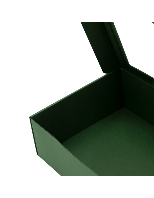Žalia dovanų dėžutė su langeliu vyno buteliui