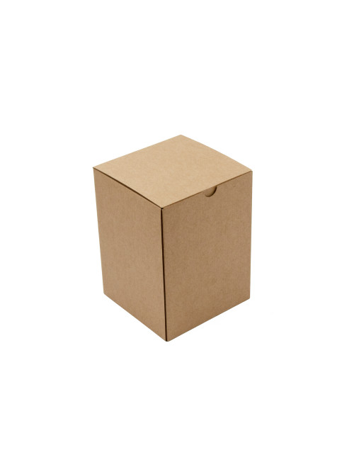 Brown Oblong Shipping Box for Cosmetics