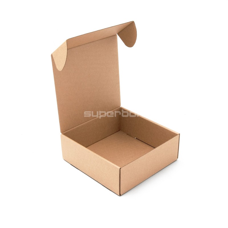 Square 6 cm Deep Quick Folding Box for Shipping