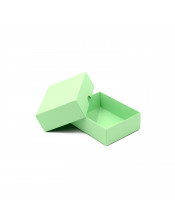 Žalia dviejų dalių maža kartono dovanų dėžutė