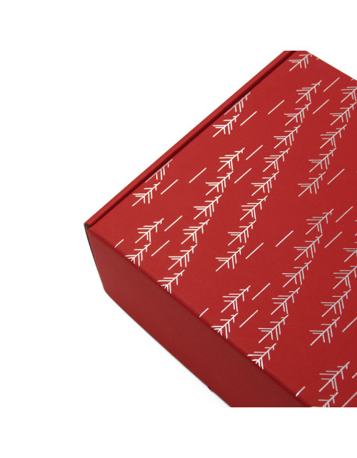 Red A4 Box with Silver Foil Print