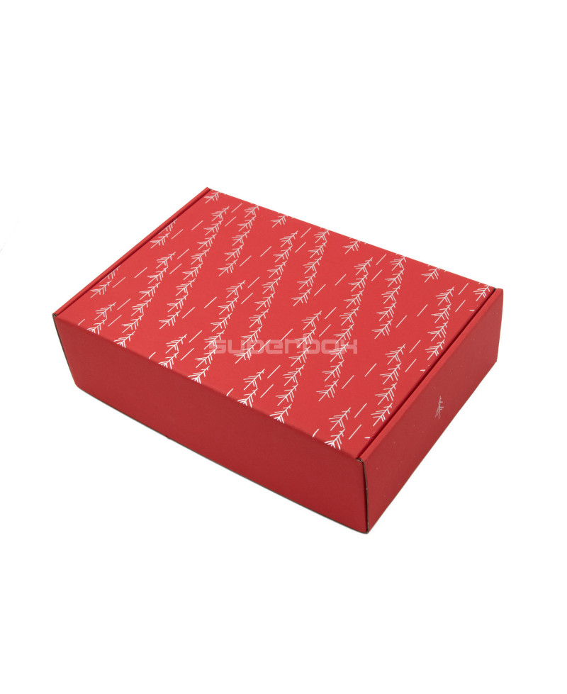Raudona A4 formato dėžutė su folijuota sidabrine spauda