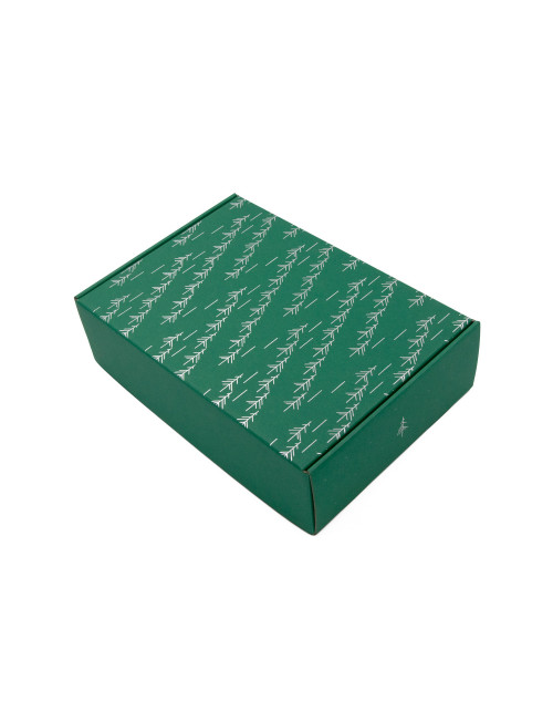 Green A4 Box with Silver Foil Print