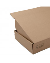 Popular LP size brown box with tear off adhesive tape