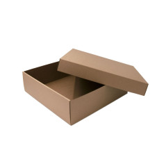 Brown folded box