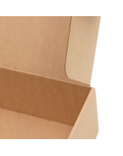 Quick Closing Mailing Box for Medium Size Parcel Terminals