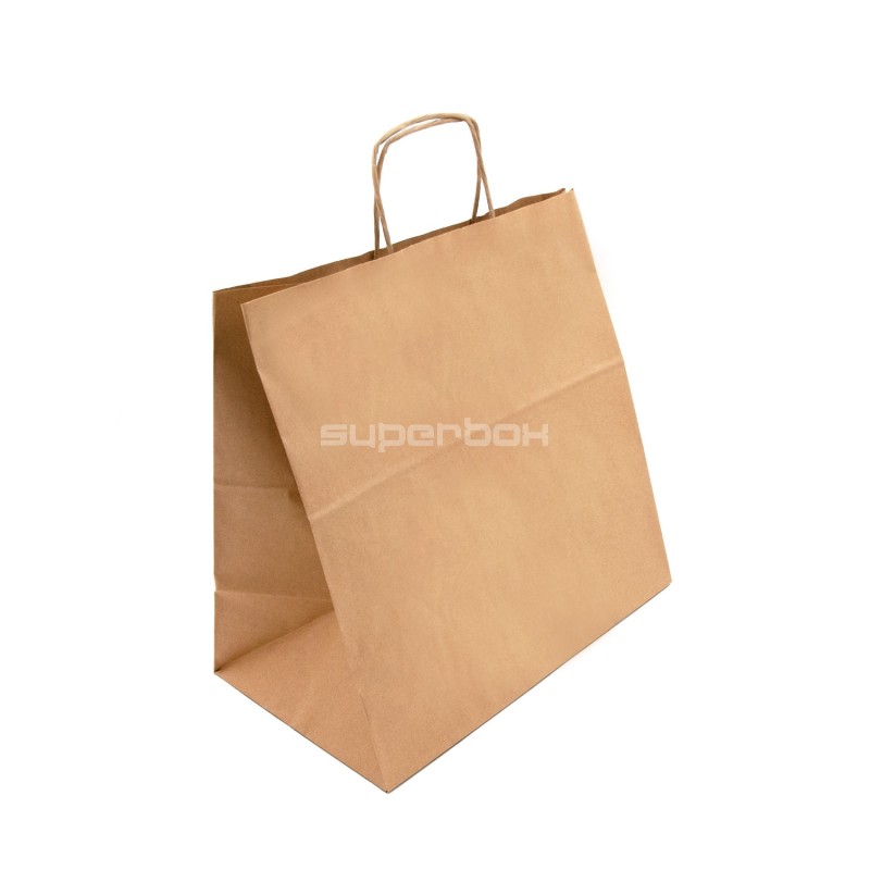 Large Brown Eco Paper Bag with Twist Paper Handles