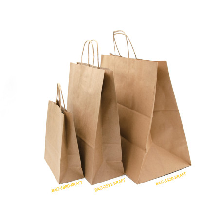 Small Brown Eco Paper Bag with Twist Paper Handles