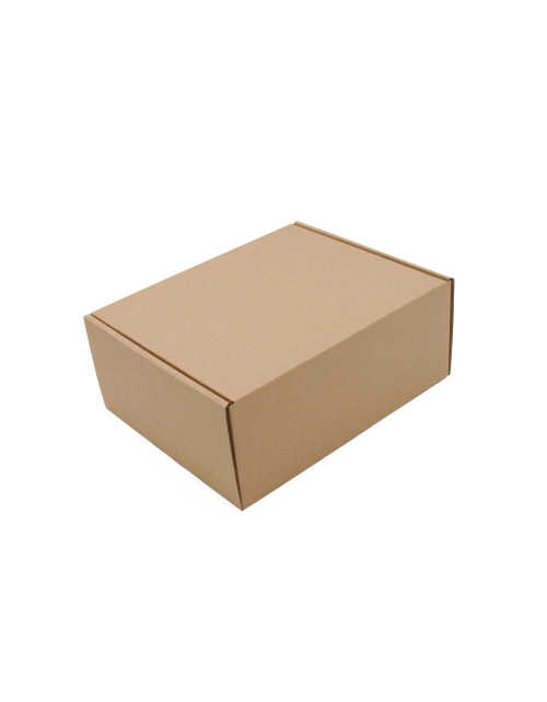 Dabīga brūna kartona kaste piegādei