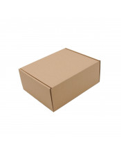 Dabīga brūna kartona kaste piegādei