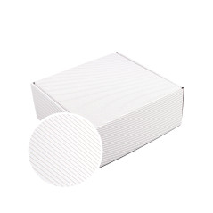 White with golden Lines Square Gift Box | 220 x 220 x 90 mm | Superbox