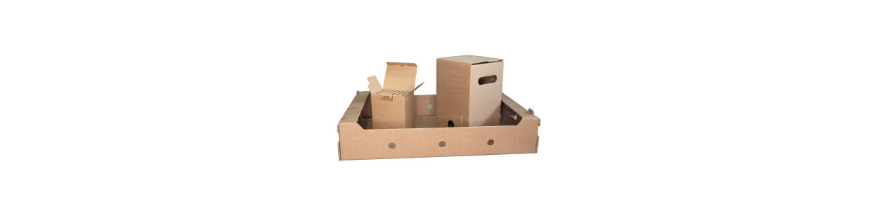 Specialized Cardboard Packaging